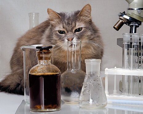 Источник: фото из свободного доступа