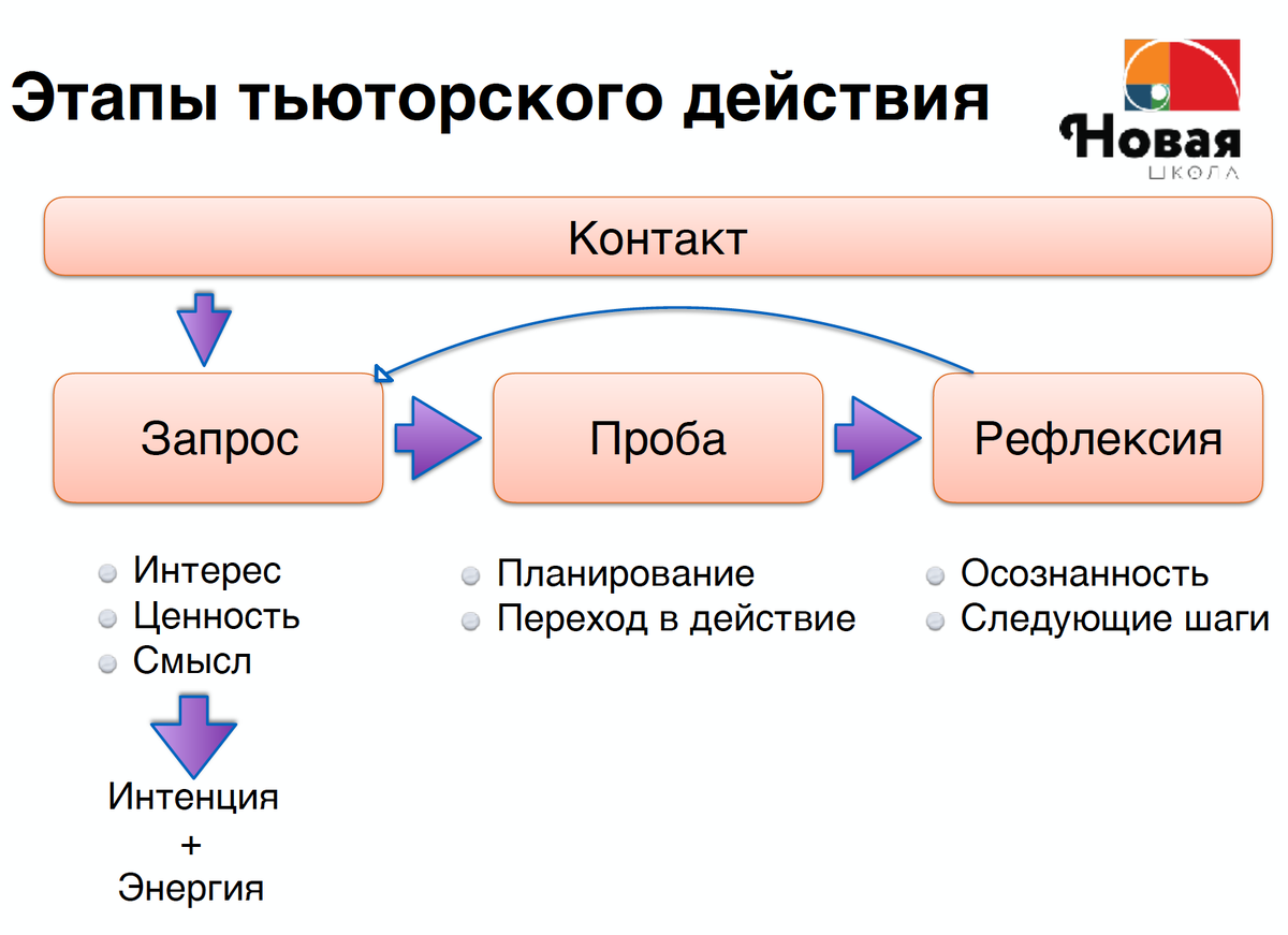 Источник: Новая школа
