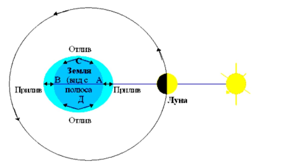 Лунные приливы и отливы. Приливы и отливы влияние Луны схема. Механизм явления приливов и отливов на земле схема. Земля Луна отлив прилив схема. Схема влияние Луны на землю.