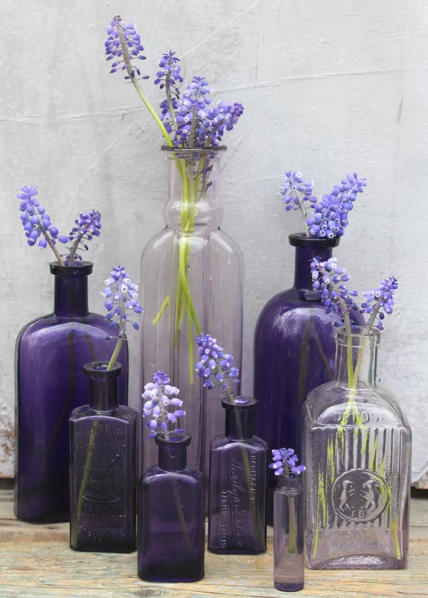 Lavender Лаванда Decor