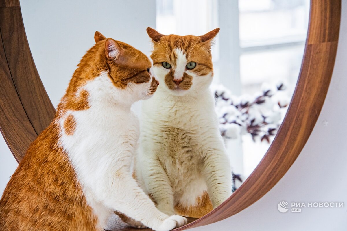 Я за вами наблюдаю