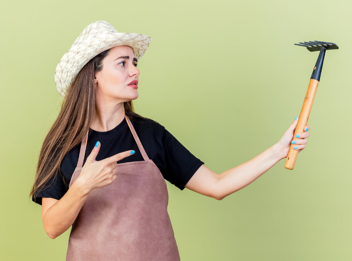 Источник фото: stockking - ru.freepik.com