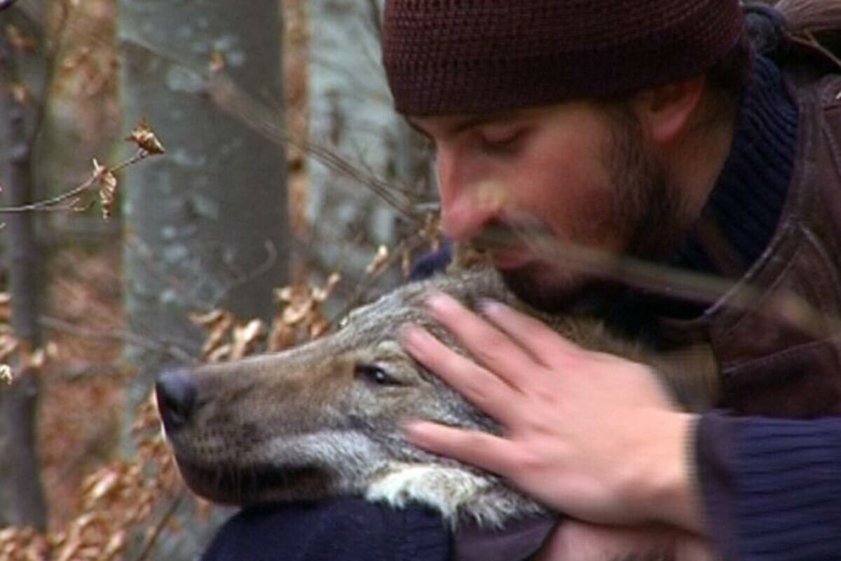 Фото взято из открытых сербских источников 