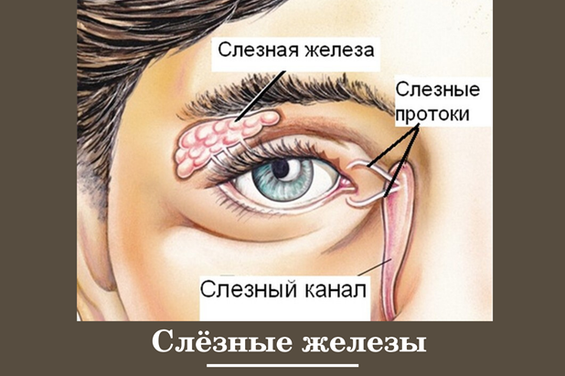 Воспаление слезного канала. Заболевание глаз дакриоцистит.