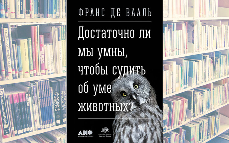 «Мы обладаем возможностью исследовать мир вокруг нас, но каждый раз впадаем в панику, когда факты не совпадают с нашими ожиданиями». Фото Альпина Нон Фикшн