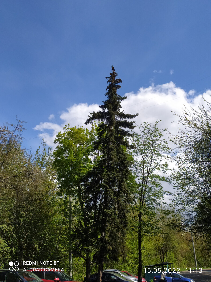 Фото автора. 