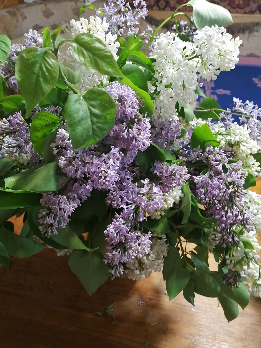 Ода моим подписчикам и друзьям. | Ни к селу,ни к городу. | Дзен