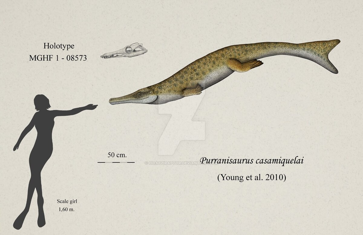 Метриоринхиды (Metriorhynchidae) – морские крокодилы с рыбьими хвостами