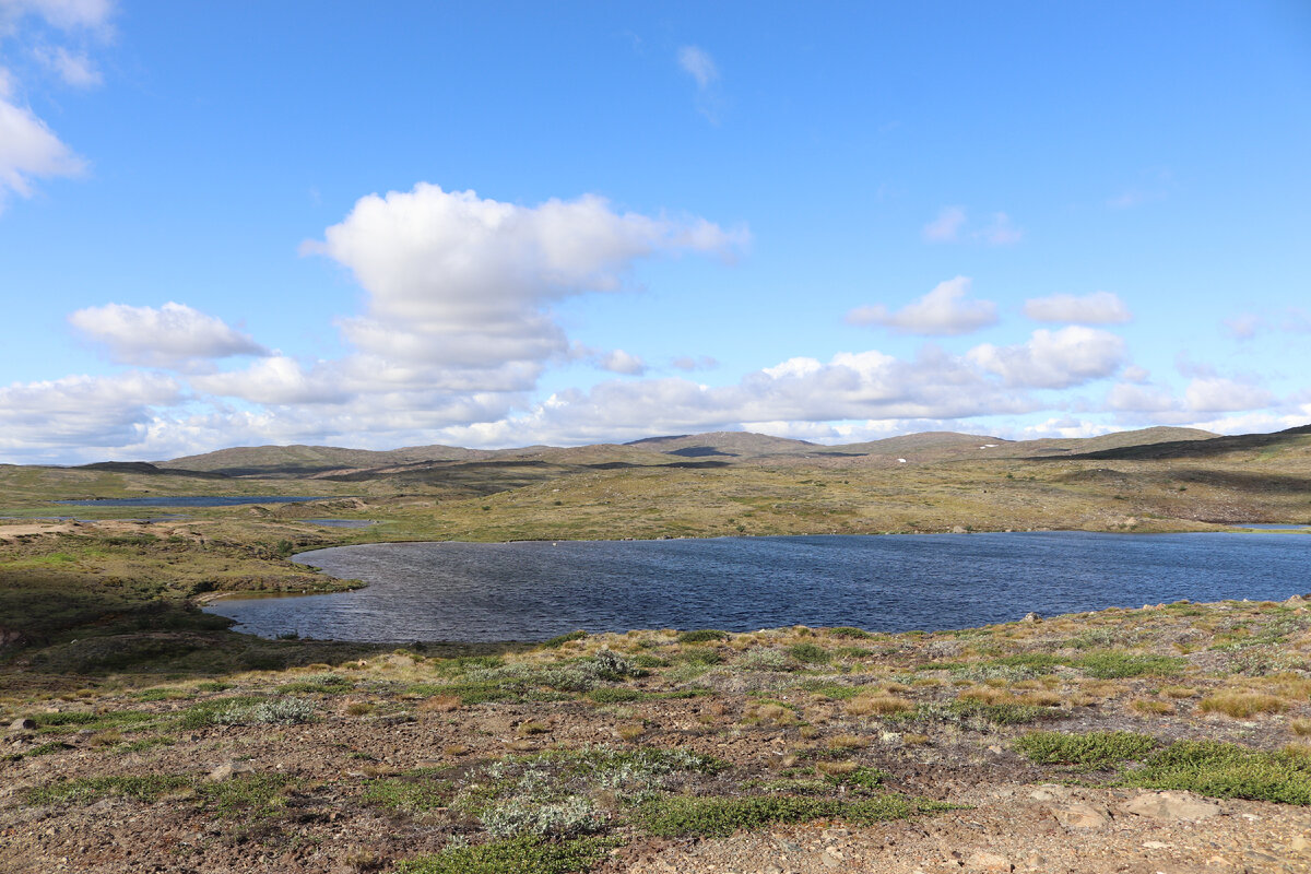 фото автора Елены М.
