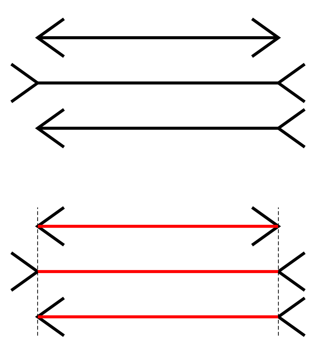 Фото из открытых источников интернета 