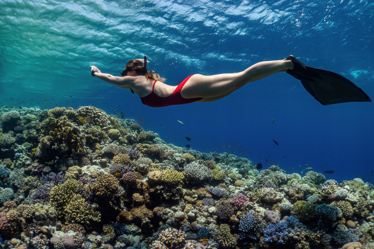    Однократная виза в Египет будет стоить 25 долларов, многократная – 60. Оформляют их как в аэропорту, так и электронно. Для Шарм-эль-Шейха действует исключение: бесплатное пребывание до 14 дней