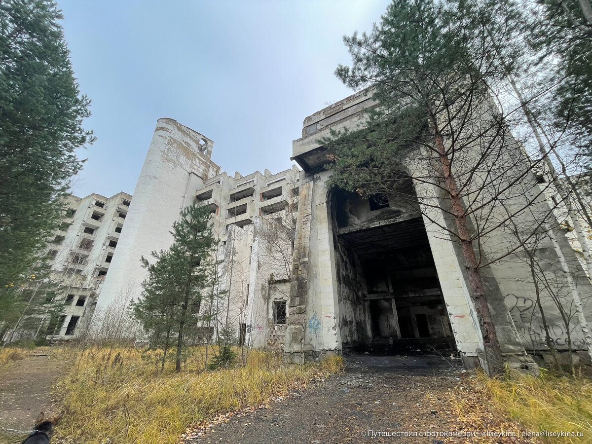 Исполинский заброшенный санаторий в лесах Тверской области | Путешествия с  фотокамерой | Дзен