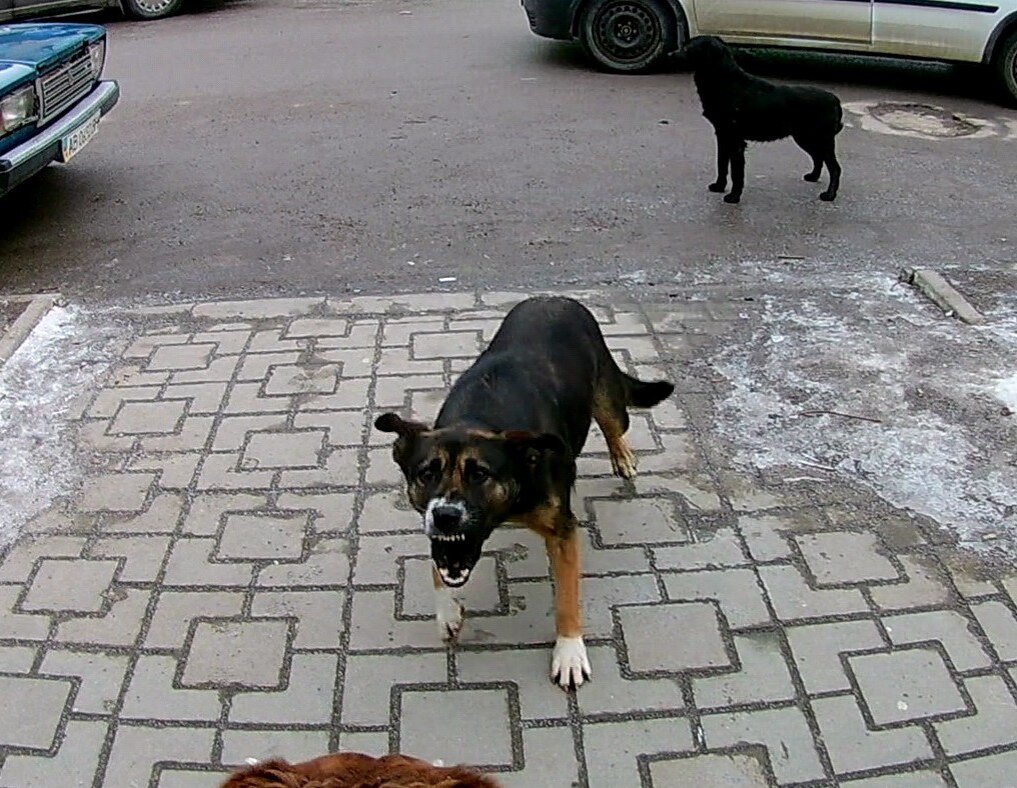 Агрессивное нападение