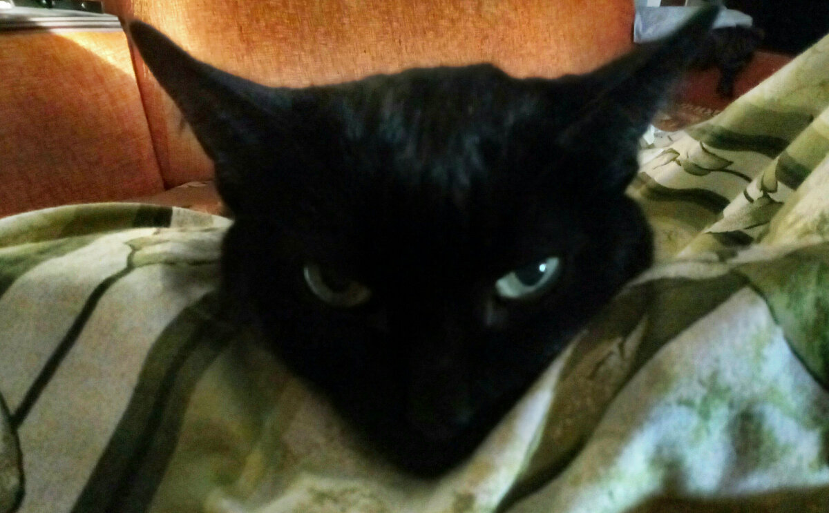 В ожидании весны)