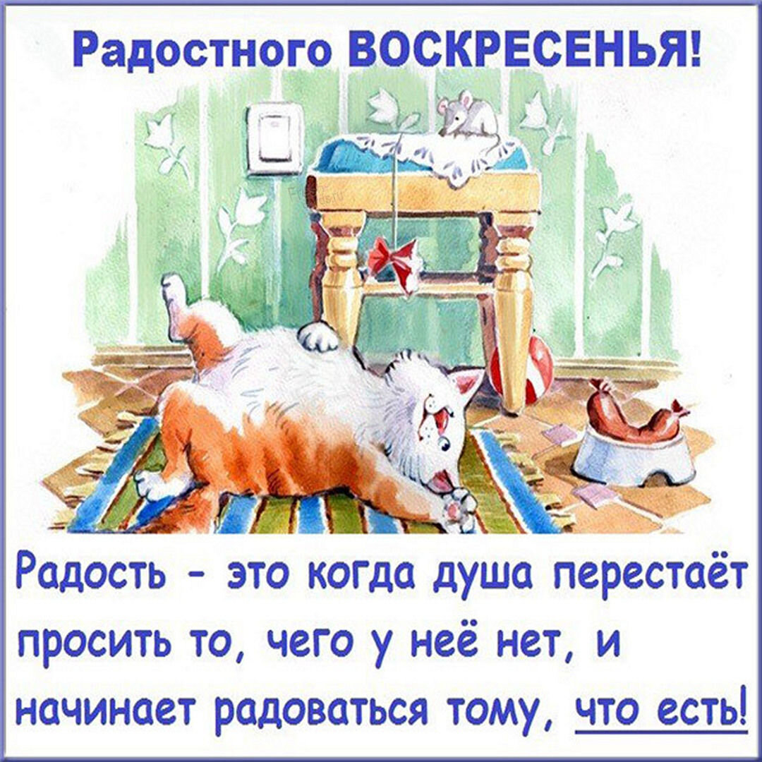 Воскресенье отдых картинки прикольные