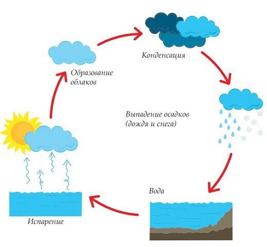 Процессы образования облаков. Круговорот воды в природе осадки. Круговорот испарения воды. Испарение конденсация осадки круговорот воды. Схема образования осадков.