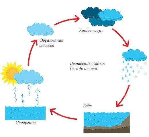 Круговорот воды в природе осадки. Круговорот испарения воды. Испарение конденсация осадки круговорот воды. Схема образования осадков. Этапы формирования воды в природе