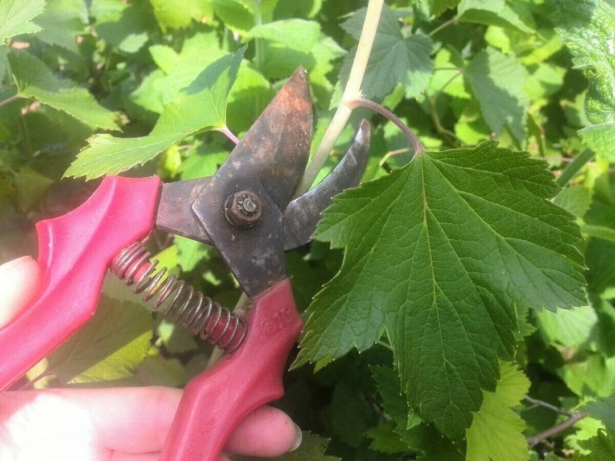 фото взято из открытых источников