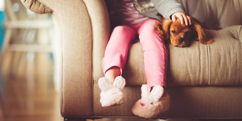 Фото: pxhere.com