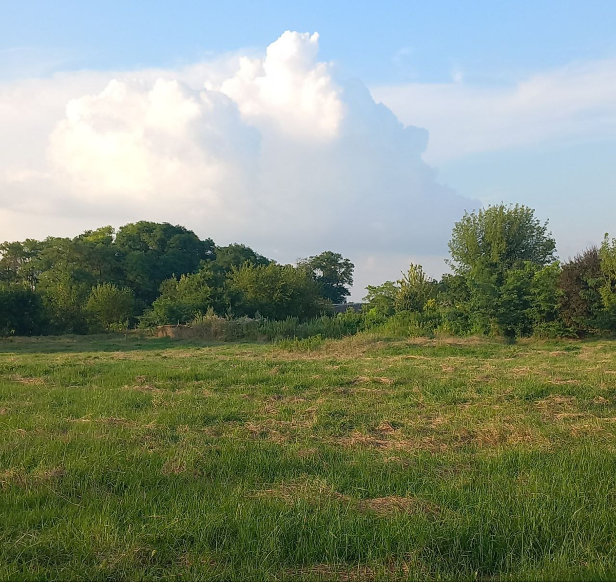 Фото из личного архива