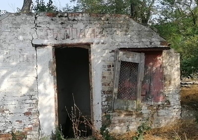 Скриншот из видео.