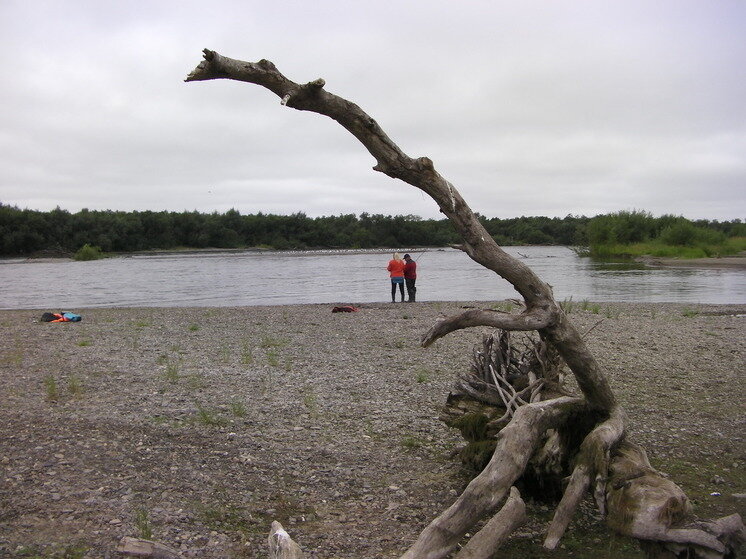 ФОТО «МК НА КАМЧАТКЕ»