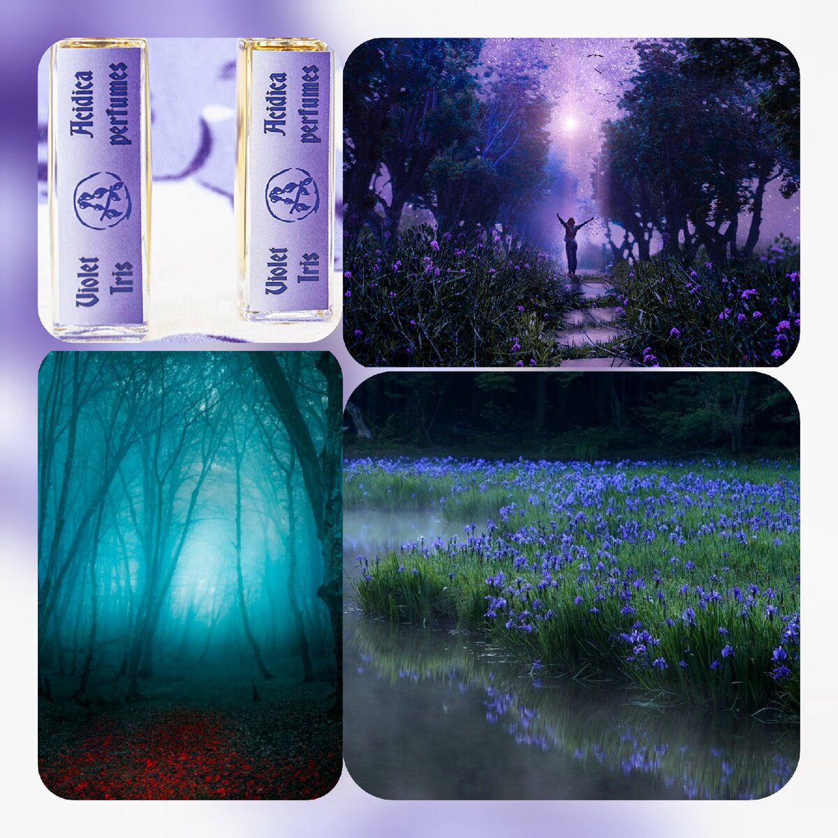 Основные ноты: османтус, ирис, красные ягоды, пудра, лабданум, амбра, древесные ноты, мускус