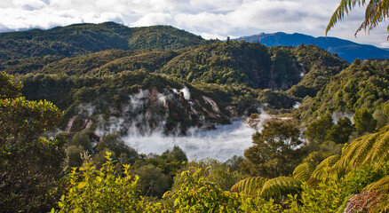 фото с stock.adobe.com
