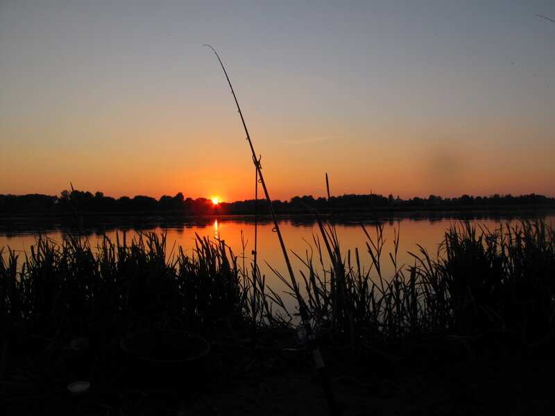 Ночной фидер... Яндекс-фото