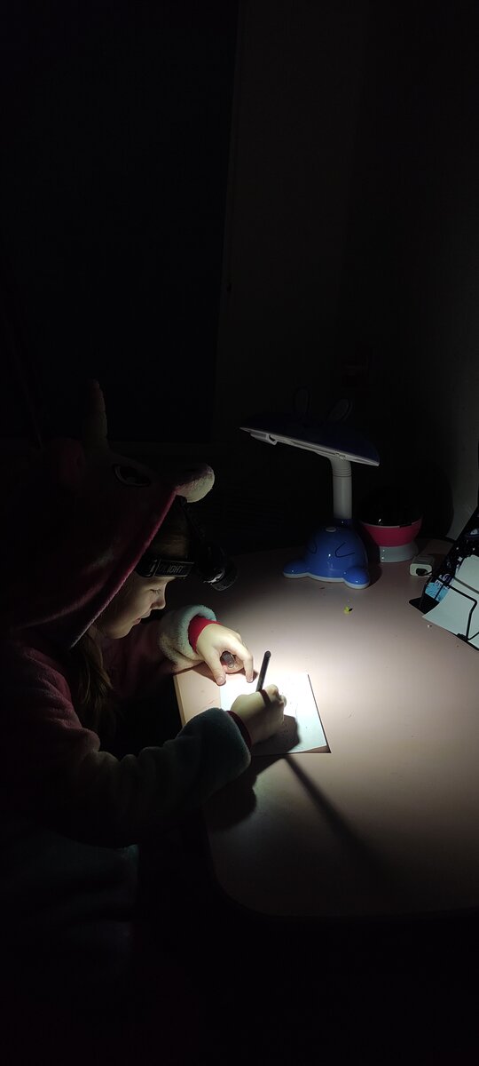 Налобный фонарик - необходимая вещь за городом. Хорошо, что основную часть пластилина мы успели убрать до отключения света. 