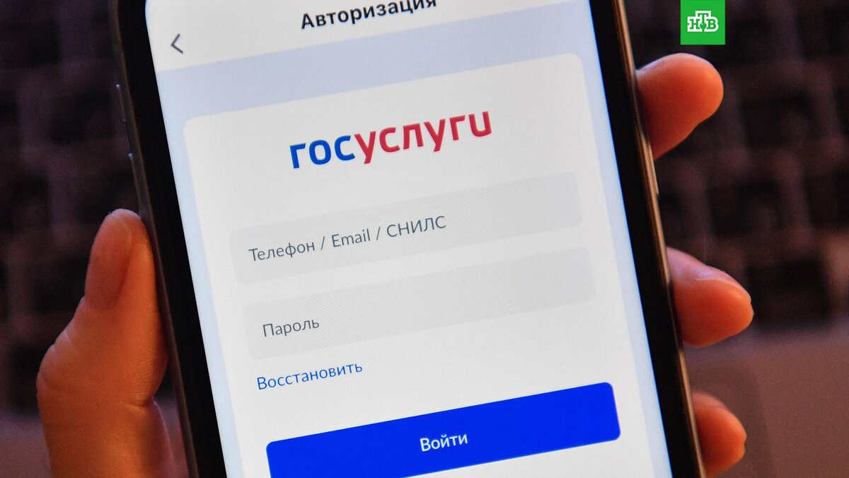    Фото: РИА Новости © 2023, Александр Кряжев