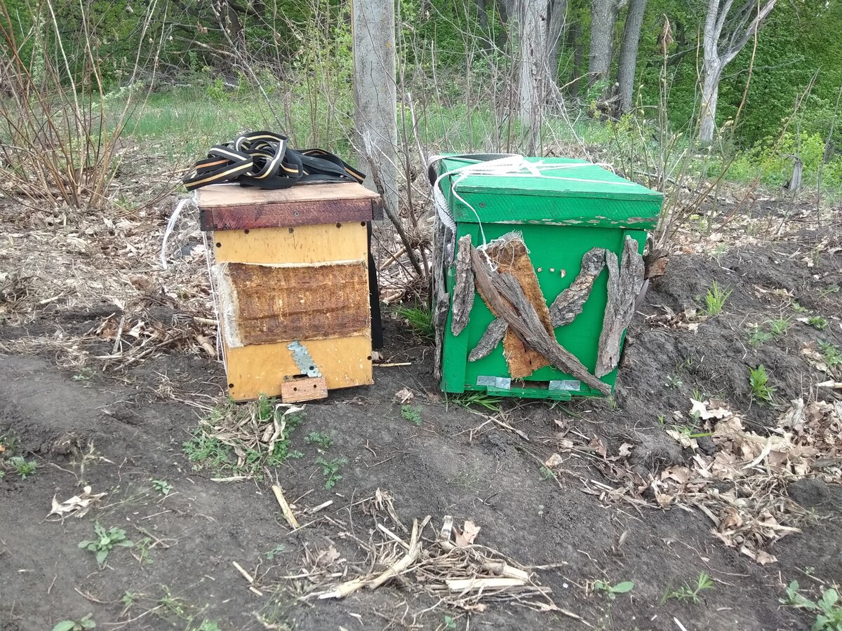 Установка ловушек