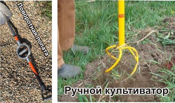 Русский сопоставительный ассоциативный словарь