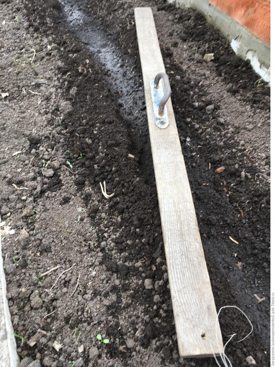 Фото с сайта: 7дач.ру