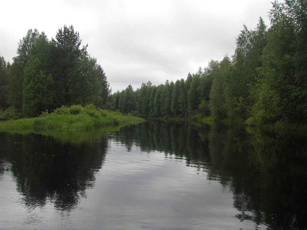 Рп5 погода кулой. Кулой (река, впадает в белое море). Река Кулой Вологодская область. Кулой Архангельская область Вельский.