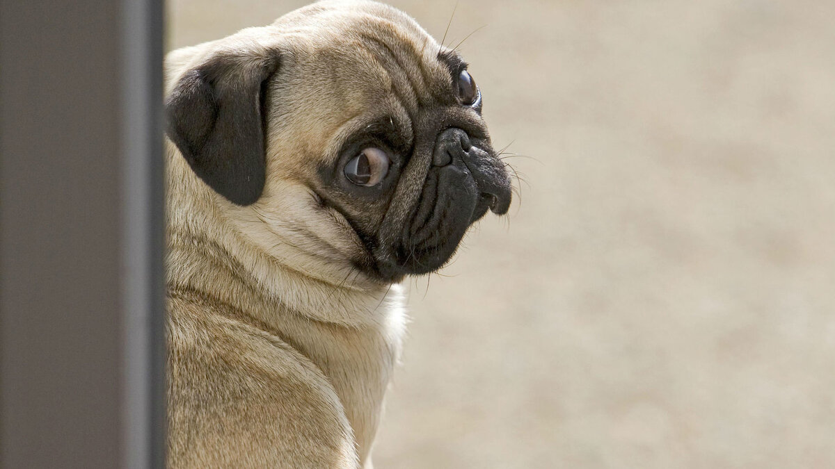 Фото Global Look Press.