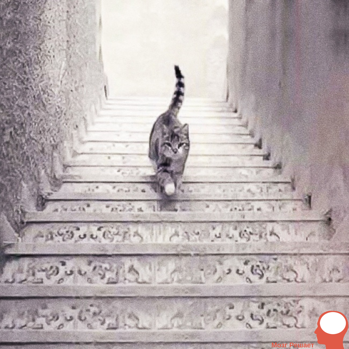 Изображение из открытого источника