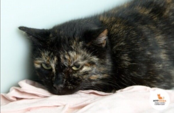 То самое фото