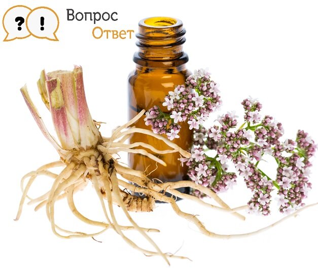 Народные методы в лечении алкоголизма... СТОП!