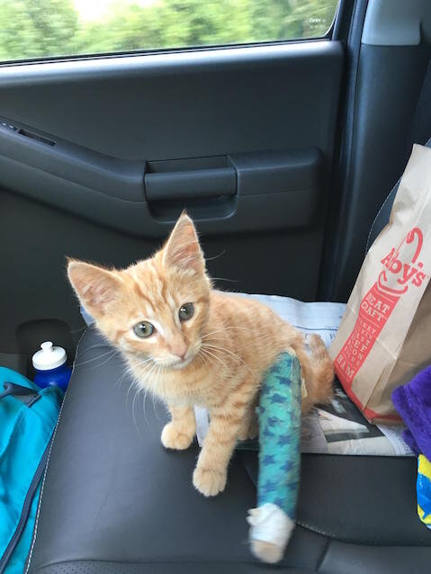 Источник: imgur.com