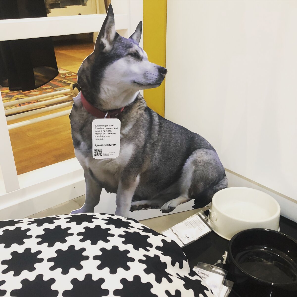 Дарси в Московской Икеа Химки 