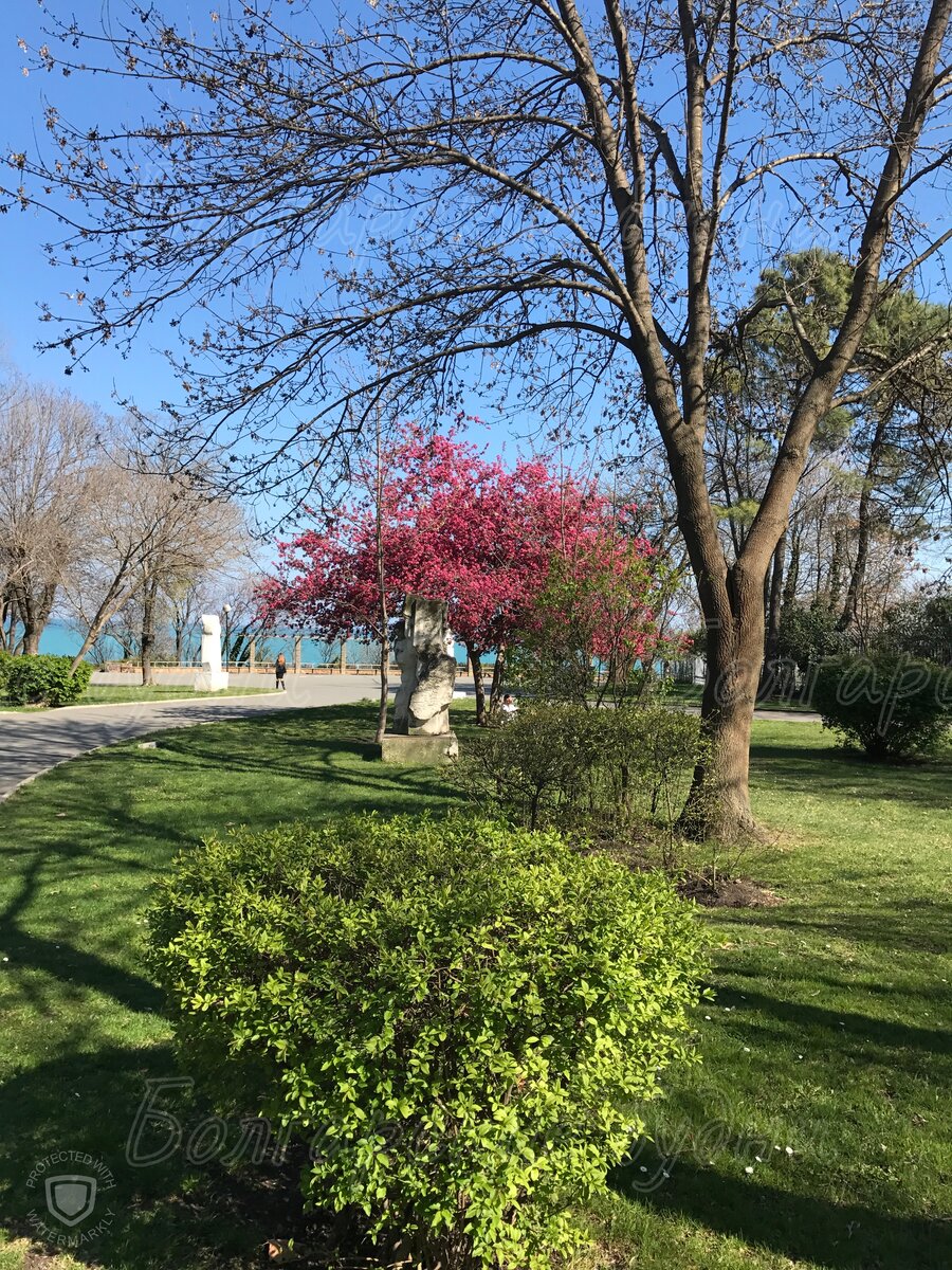 Приморский парк, Бургас