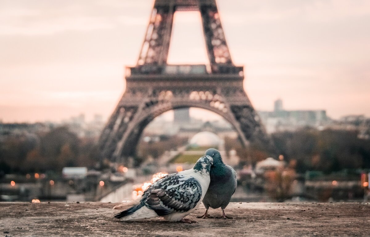 https://unsplash.com/photos/bQxGg8Vx1Vc