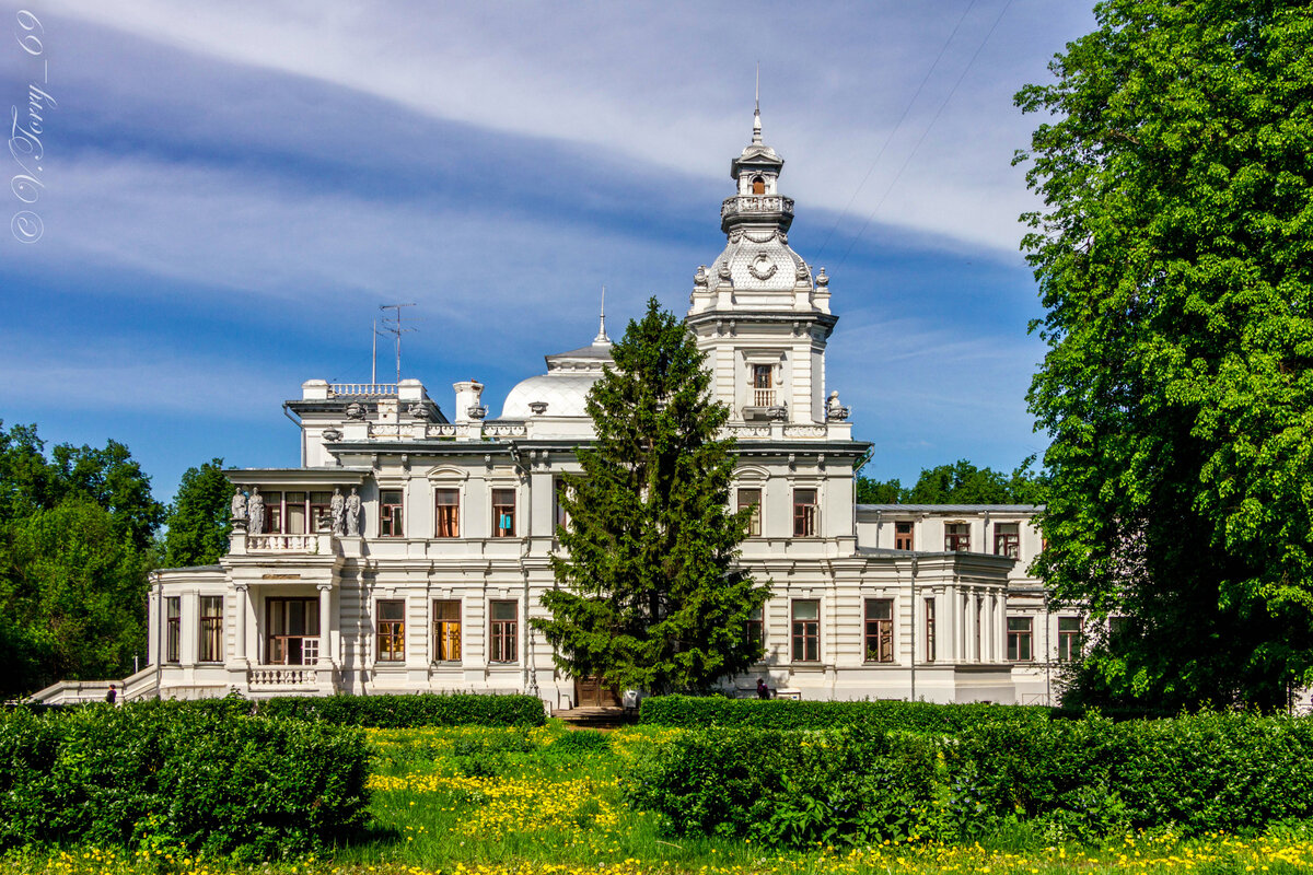 парк грачевка ховрино