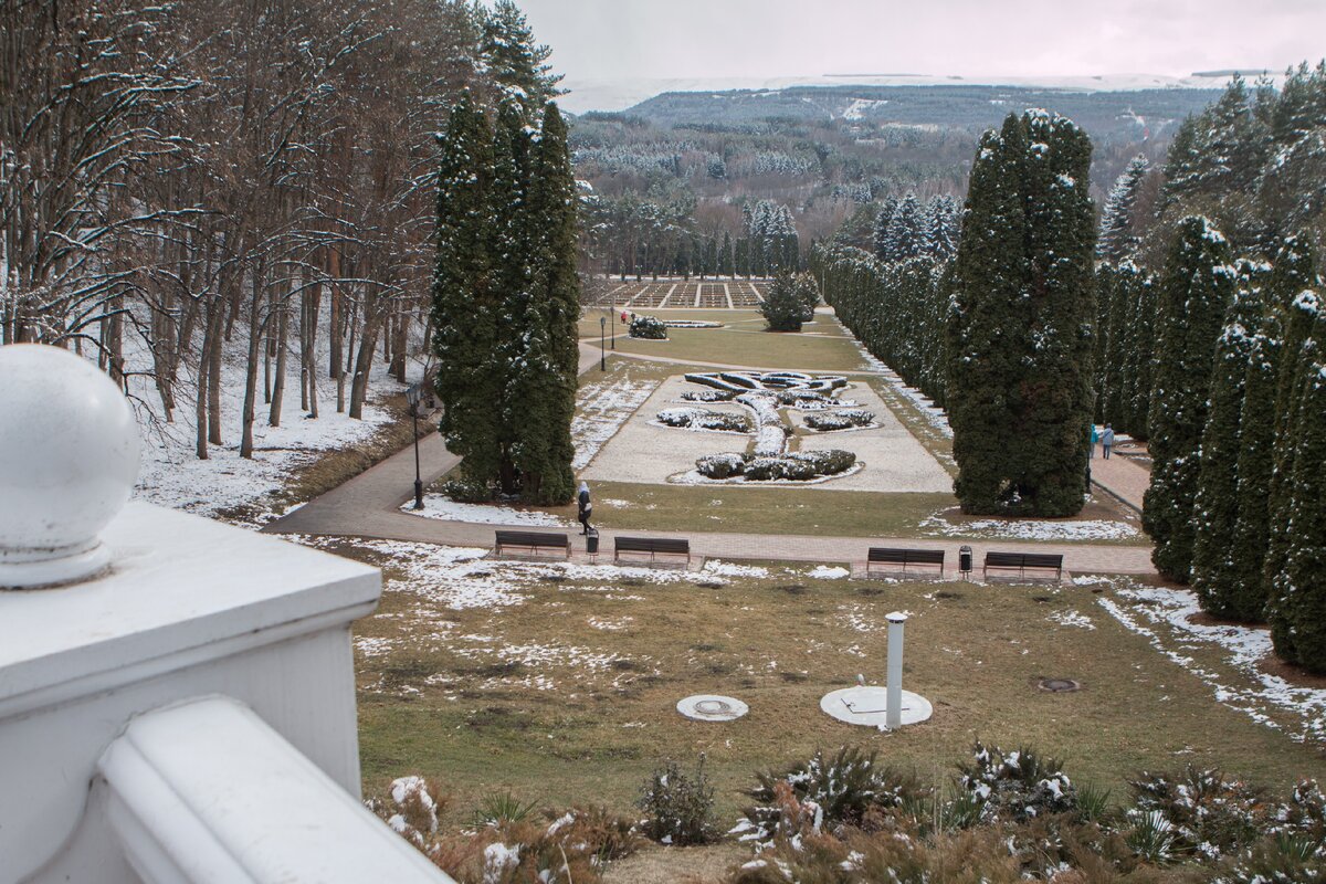 Кисловодск розы люксембург. Долина роз Кисловодск. Аллея роз Кисловодск.