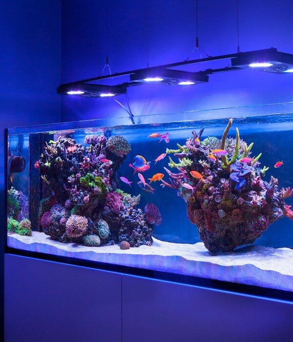 Источник: Яндекс. Картинки.