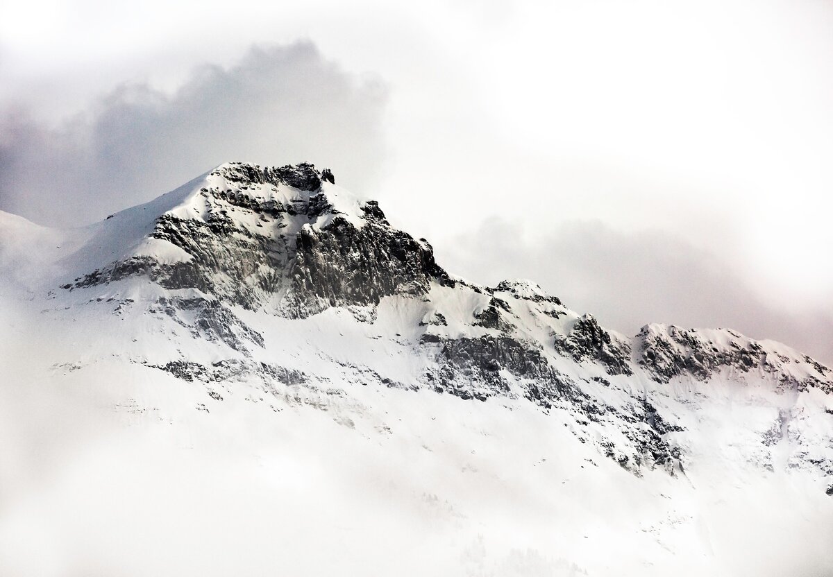 Источник фото: pixabay.com