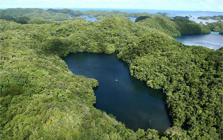 Источник: Яндекс Картинки