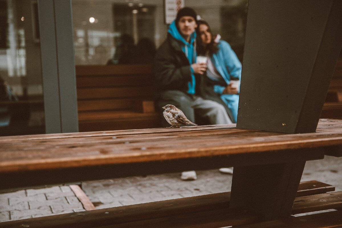 Новосибирск, 2019