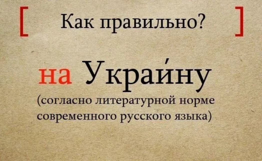 Фотография взята из открытых источников